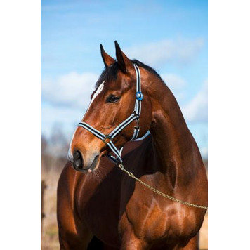 Недоуздок "Hippo", рр PONY, серый / черный АГМ=_14В_Короб-0