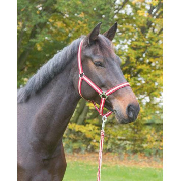 Недоуздок "Hippo" рр Warmblood FULL бордово/бежевый АГМ=__Короб-0