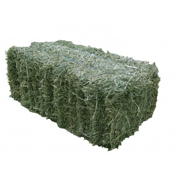 сено ТЮК Люцерна 90*50*35см 12кг__Короб-0